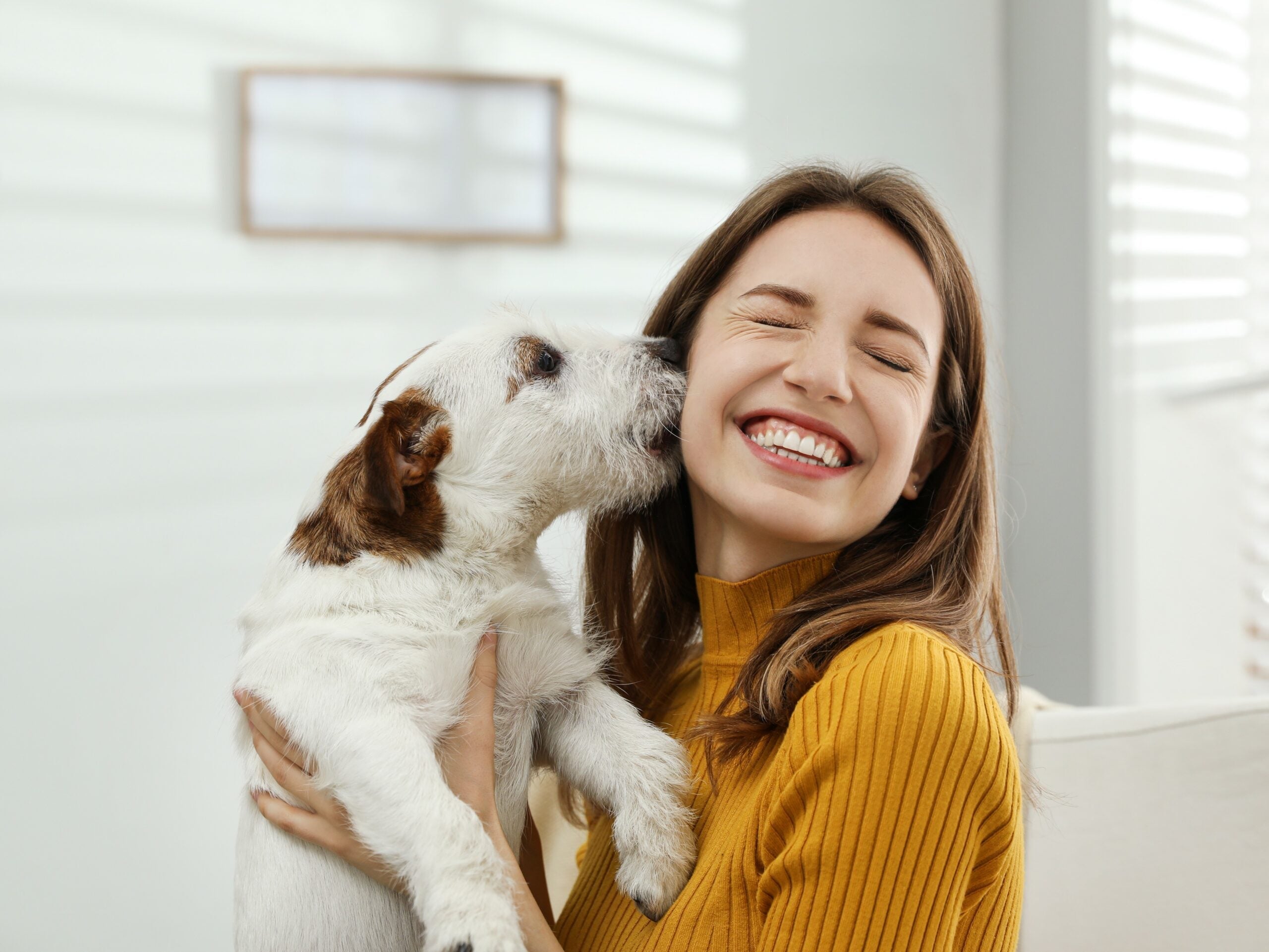 7 Simple Ways to Keep Your Pet Happy, Healthy, and Active