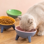 PawFed Tilted Pet Bowl