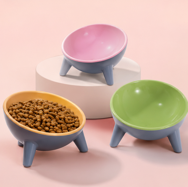 PawFed Tilted Pet Bowl